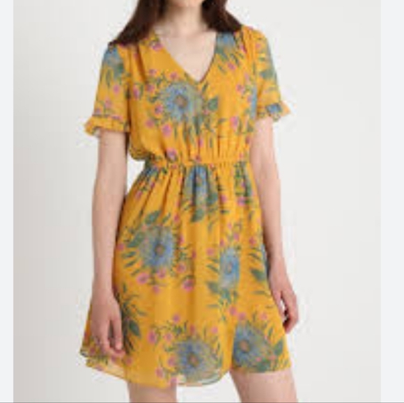 Madewell Sweetgrass Ruffle Sleeve Dress in Painted Blooms. Size O. - Picture 1 of 15